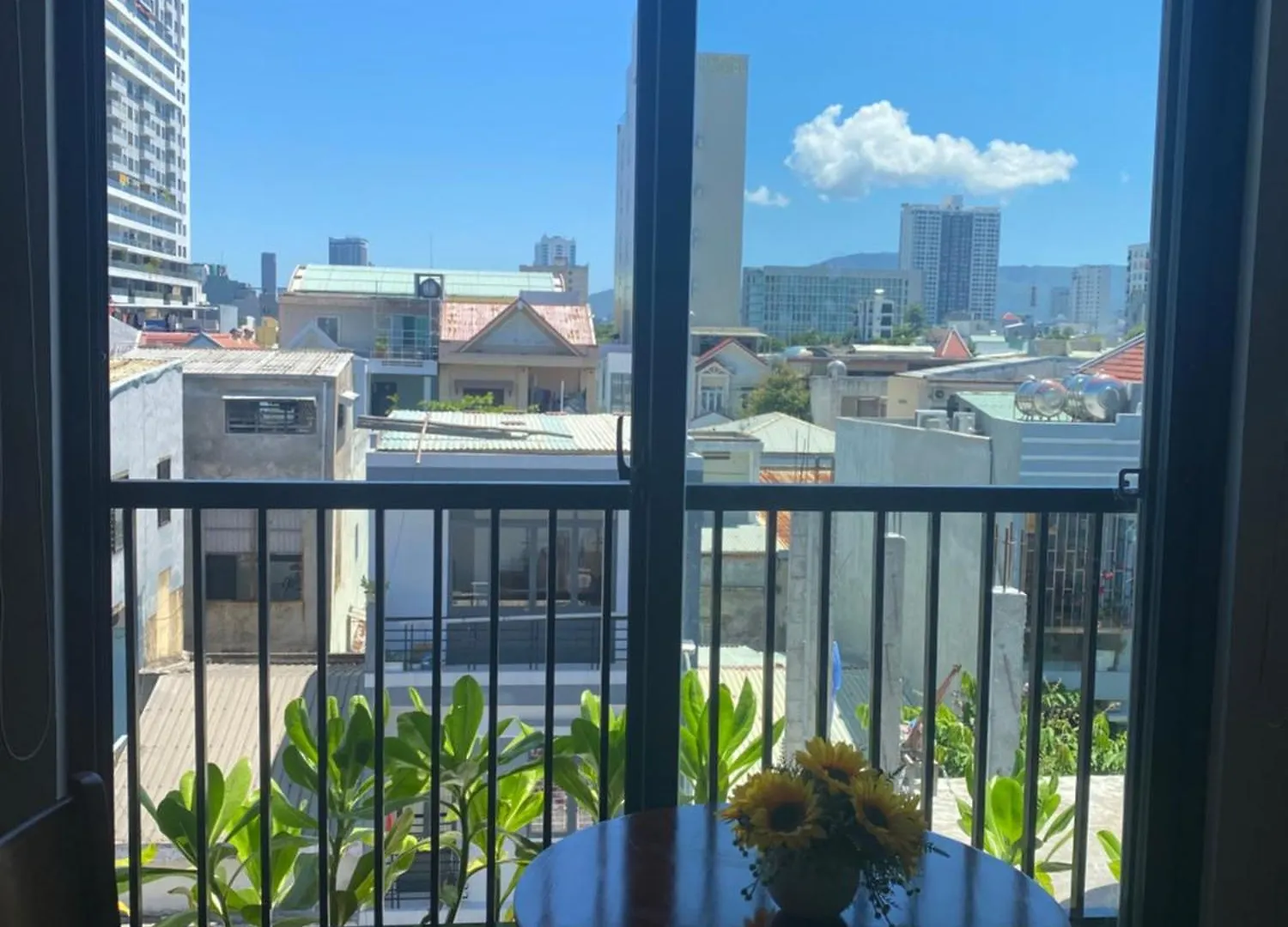 Tree Homestay Da Nang Vietnam